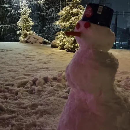 Asikkalan * Vesivehmaa