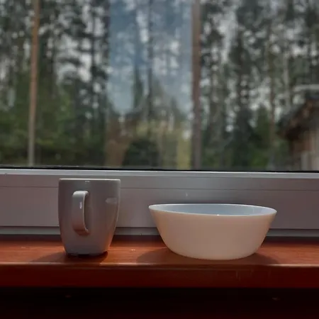 汽车旅馆 Asikkalan Vesivehmaa