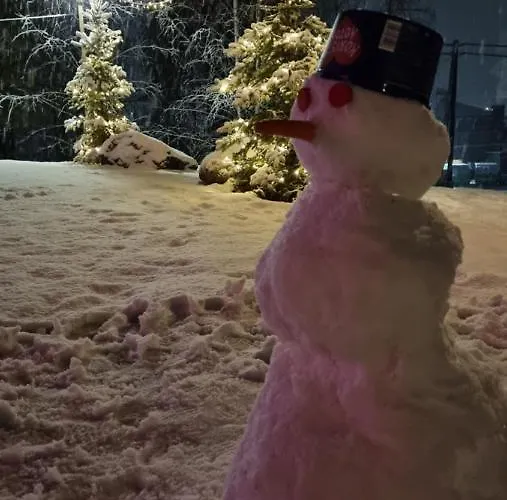 Asikkalan * Vesivehmaa