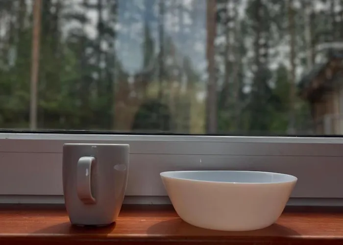 Motel Asikkalan Vesivehmaa