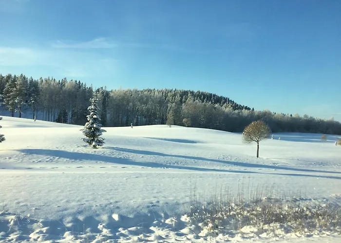 Asikkalan * Vesivehmaa